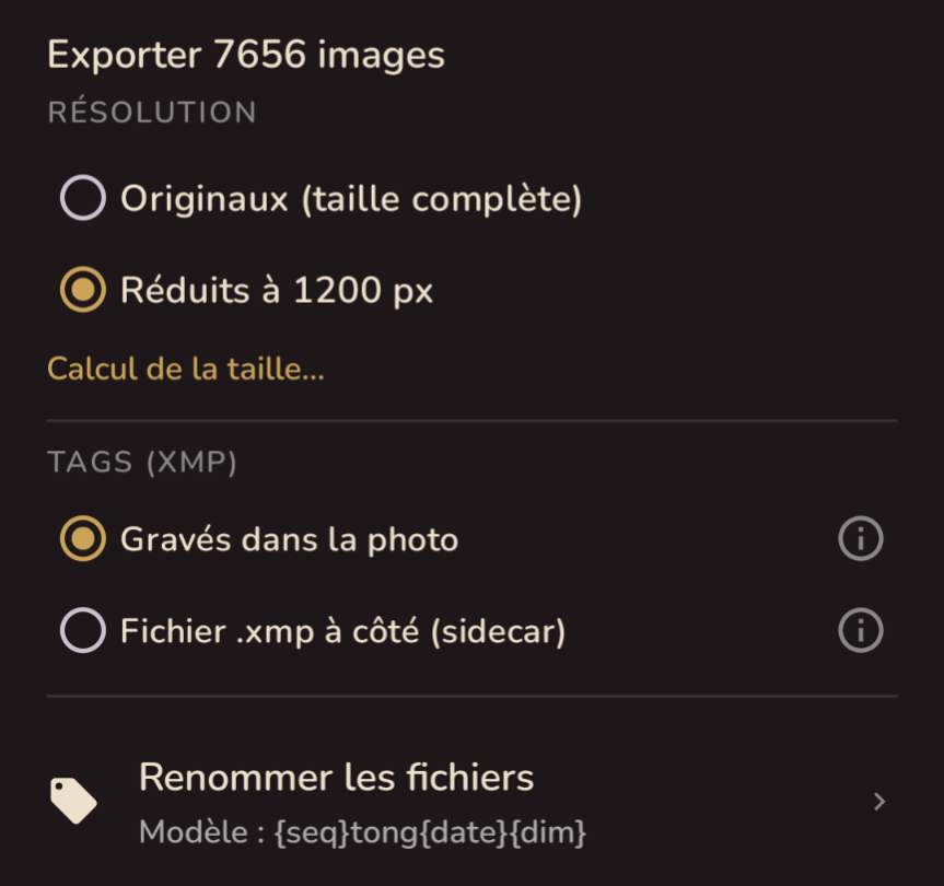 Écran d'export LiberTag — résolution, tags XMP et renommage des fichiers